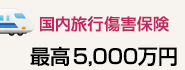 国内旅行保険　最高5,000万円