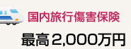 国内旅行保険　最高2,000万円